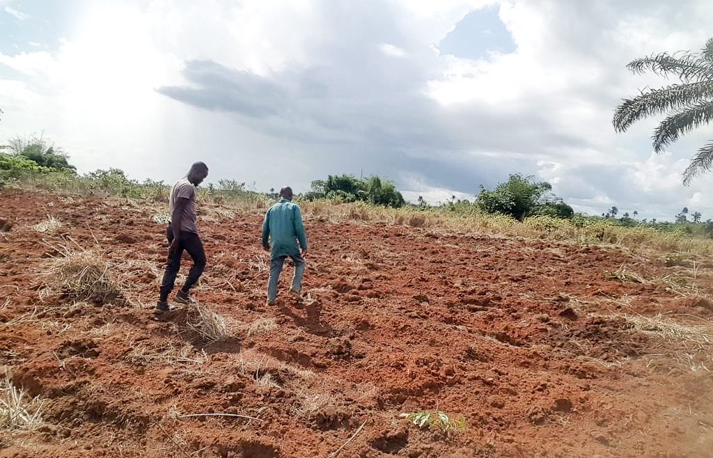 Farm Management Services