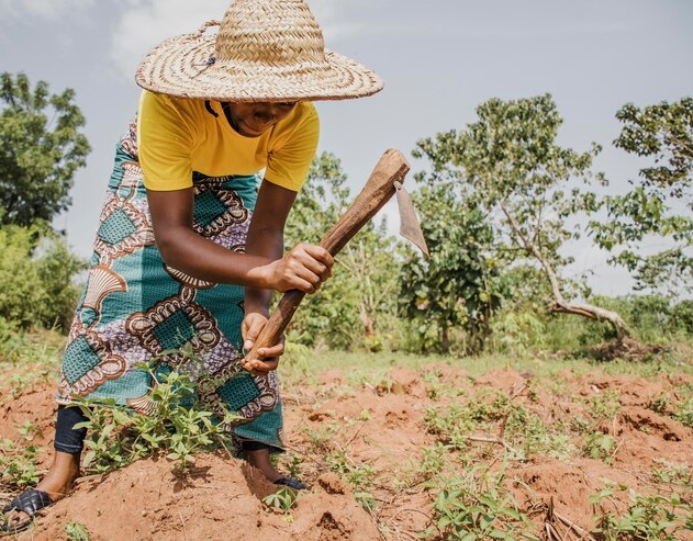 countryside-woman-working-field_23-2148761750